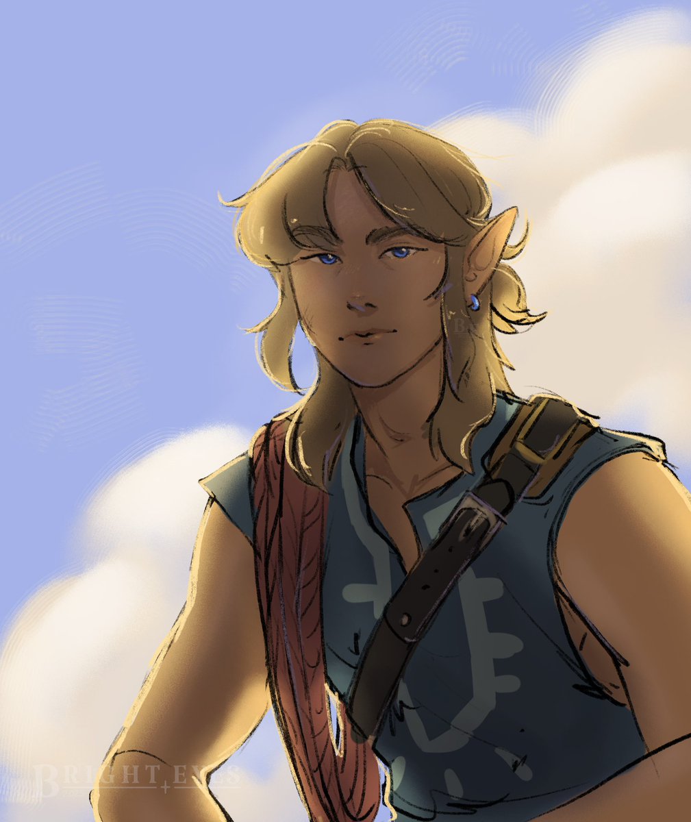 He beat you to the top~ 
#tloz #zeldafanart #botw #totk #link #zelda #breathofthewild #tearsofthekingdom #humanartist