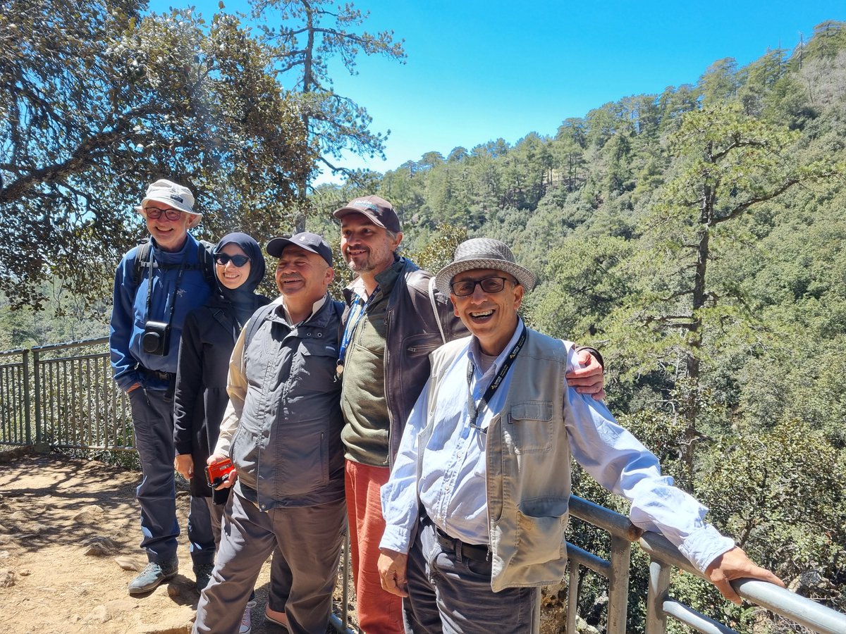 easy_conf's tweet photo. Today, participants had the chance to explore the flora of Troodos — Cyprus’ largest mountain range. Two nature trail options with rich biodiversity will offer a refreshing escape to the @5MPCW participants. 🌲

#MPCW2025 #5MPCW https://t.co/IqvjSAHOJW