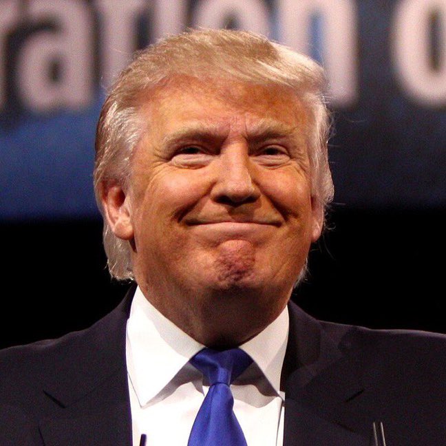 Crypto Rover tweet media