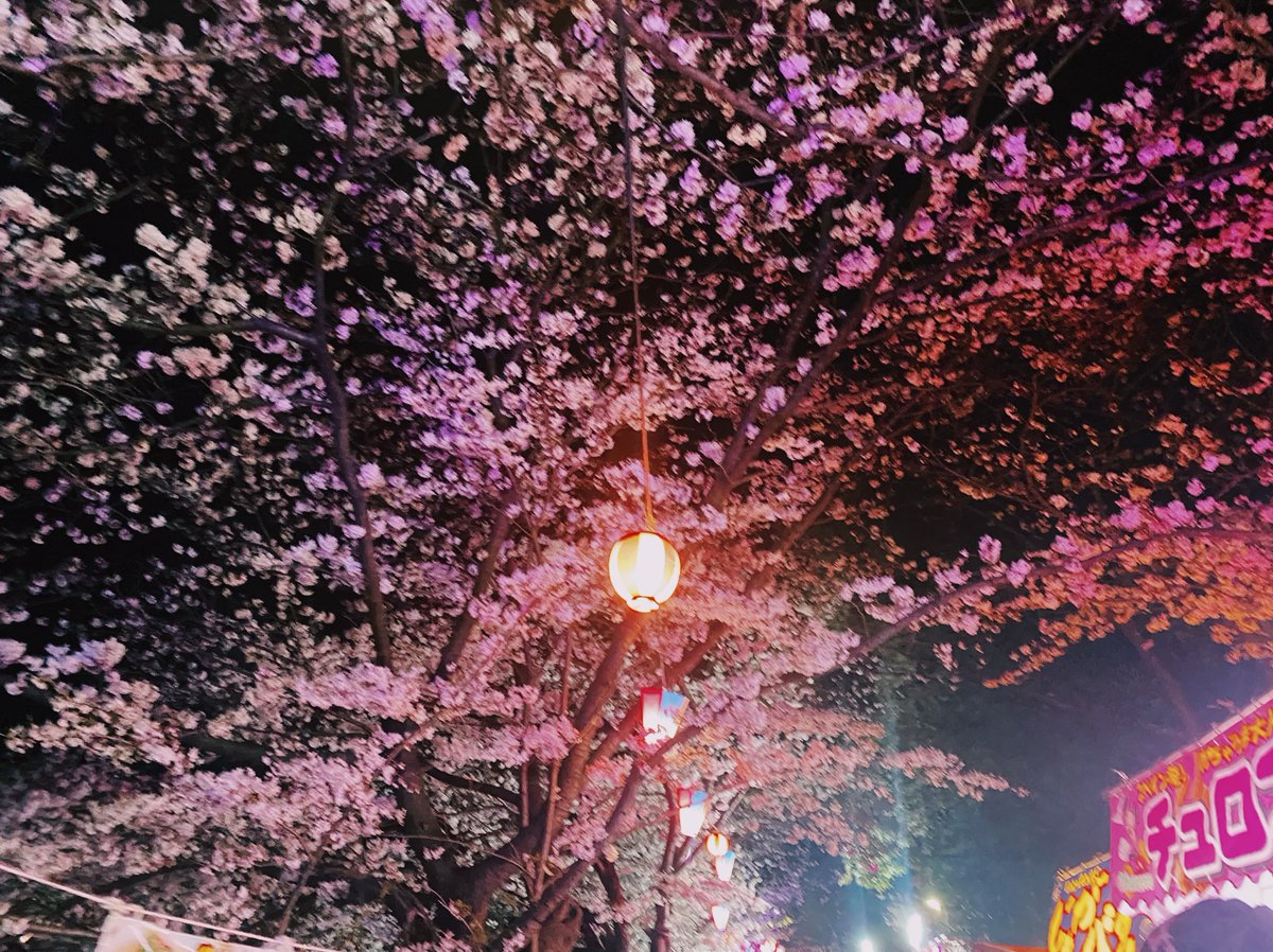 ikachi55's tweet photo. 🌸 https://t.co/PFLwNV9i90