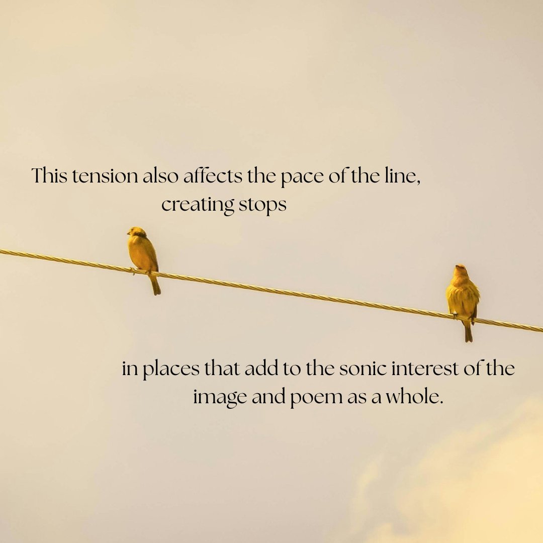 149Review's tweet photo. The Importance of Line Breaks: Enjambment as Creating Tension and Additional Meaning in Poetry. Available to read now, only on https://t.co/Dnqp1pTGit

#ForTheLoveOfCraft
#literaryjournal
#poetrycommunity https://t.co/qzqKDynPY6