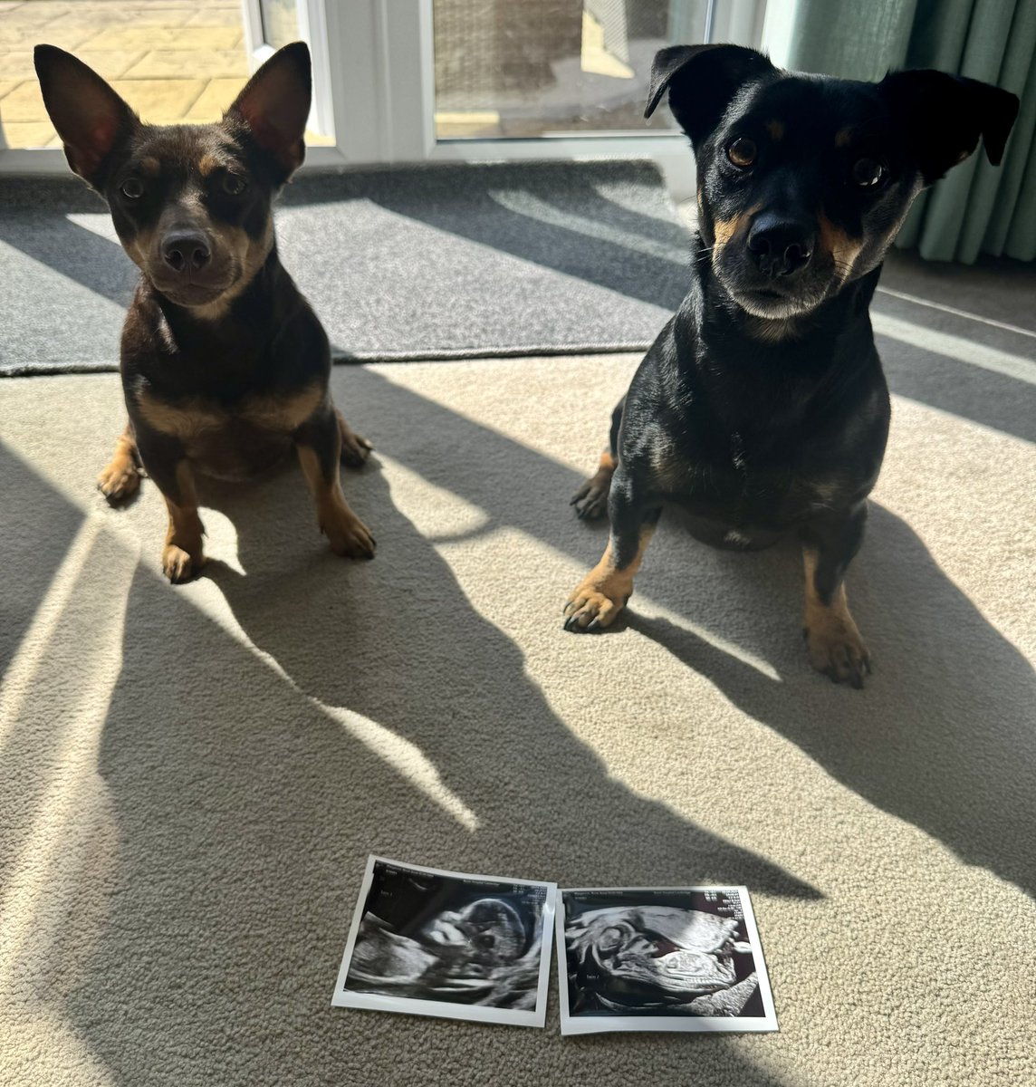 Rosie Margarson tweet media