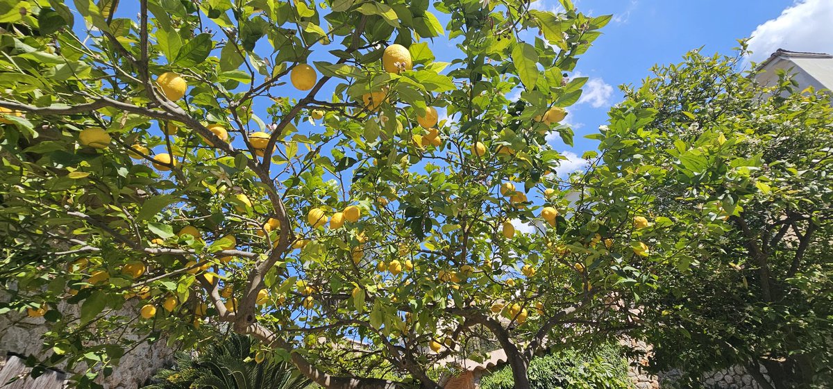 Kit Andrew tweet media