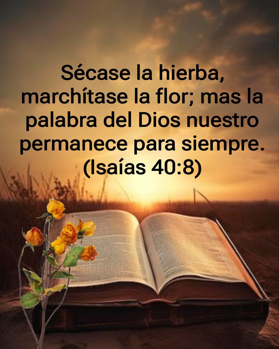 Frases y versos de La Bíblia. (@yeymidm) on Twitter photo 