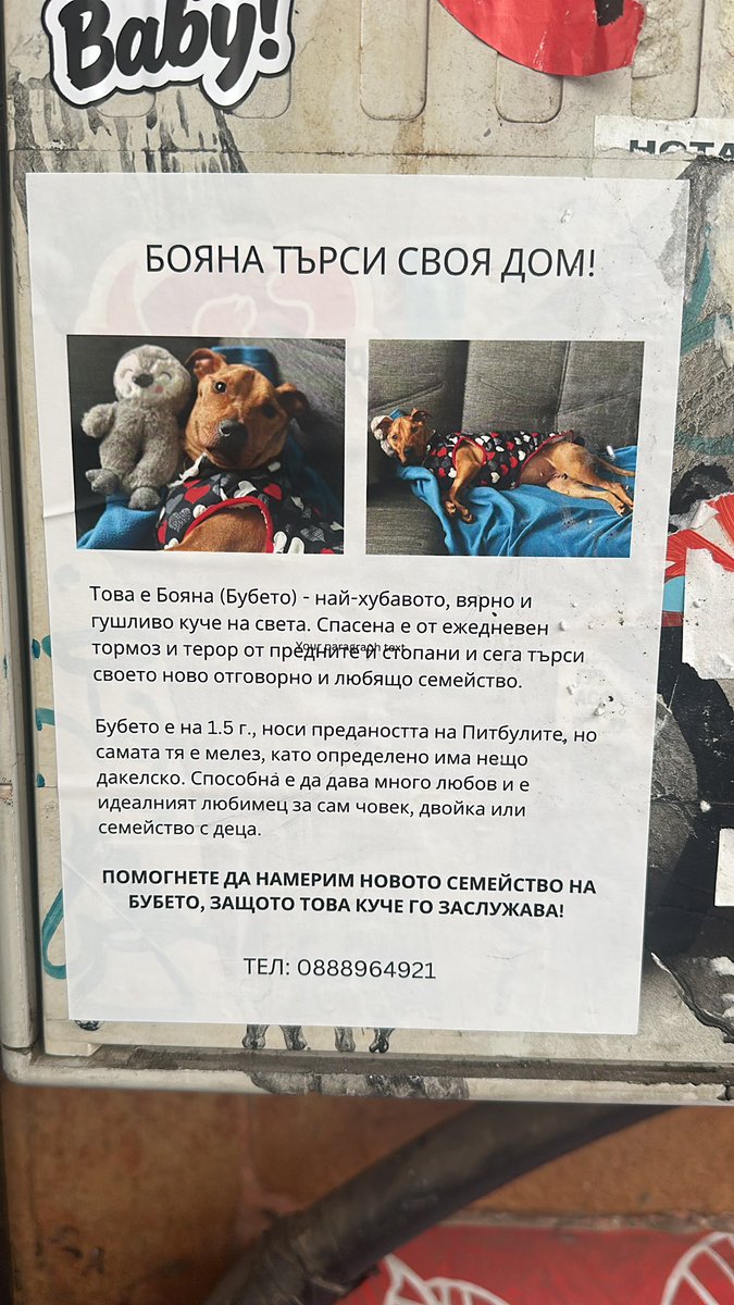 Chavdar Zagorsky tweet media
