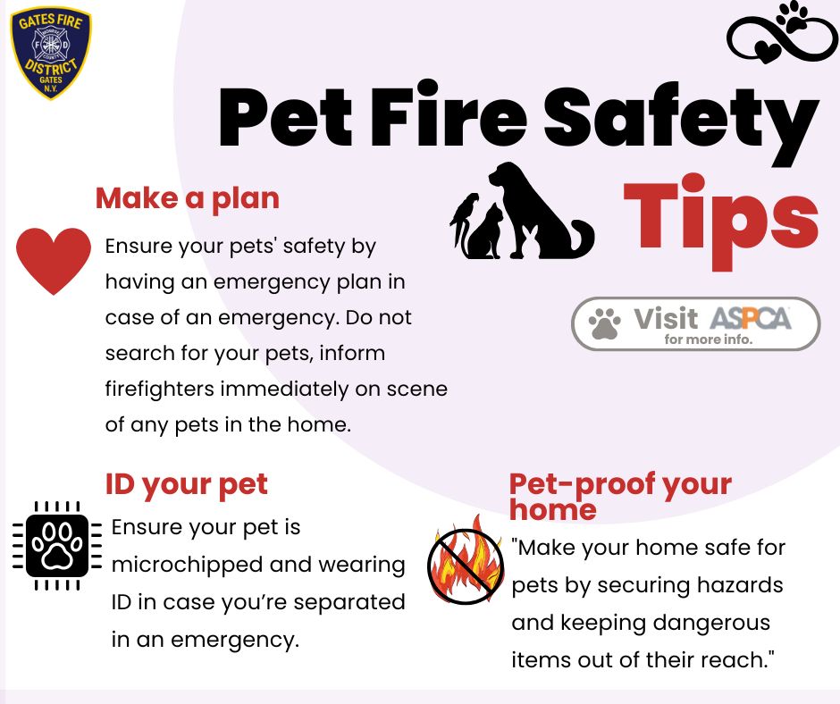 GATESFDPIO tweet media