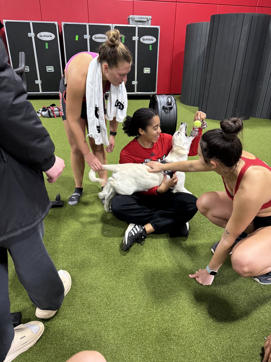 University of Louisville Police Department tweet media