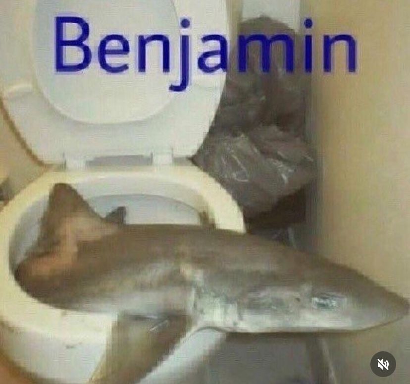 hourly_shitpost's tweet photo. https://t.co/rIu6MczdWC