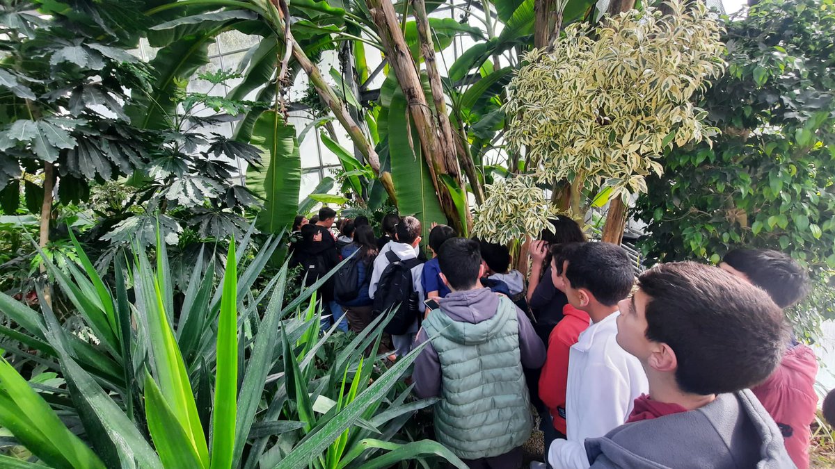 sokebilsem's tweet photo. TÜBİTAK 2204-B Ortaokul Öğrencileri araştırma projeleri yarışması İzmir bölge sergisine 26 öğrencimizle ziyaret ettik. Ardından Ege Üniversitesi Tabiat Tarihi Müzesi'ni ve Botanik bahçesine ziyarette bulunduk.
@SokeKaymakam 
@sokemem 
@Aydin_MEM https://t.co/C2AbFyTAUV
