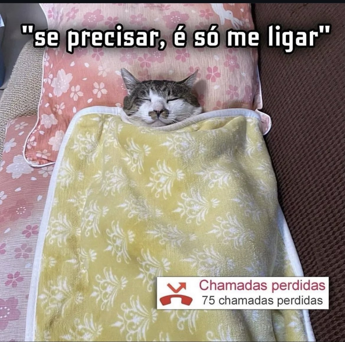 moreiraviw's tweet image. 