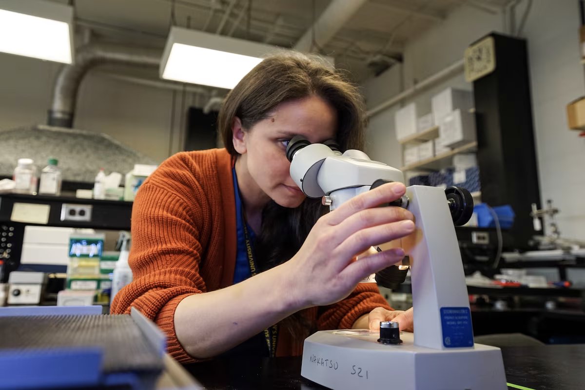 KingstonHSC's tweet photo. “We’re providing care to twice the patients with a much, much higher level of efficiency,” says #MyKHSC Neurosurgeon Dr. Teresa Purzner. 

Learn how bold thinking and an entrepreneurial mindset is reshaping brain tumour care.

Read more in today’s @globeandmail 👇

https://t.co/11x9nVFx19
