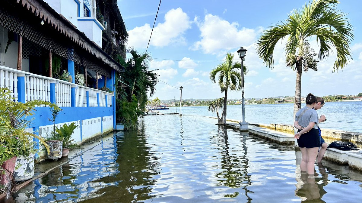 trotavan's tweet photo. ¡Y llegué a la Isla de Flores!
En esta Trotaventura descubrí que la isla se está inundando ¡Pero eso no es todo! Hay una leyenda urbana que asegura que debajo de esta isla podría haber una antigua pirámide maya… ¿Será cierto? https://t.co/uWJJhRiNy3