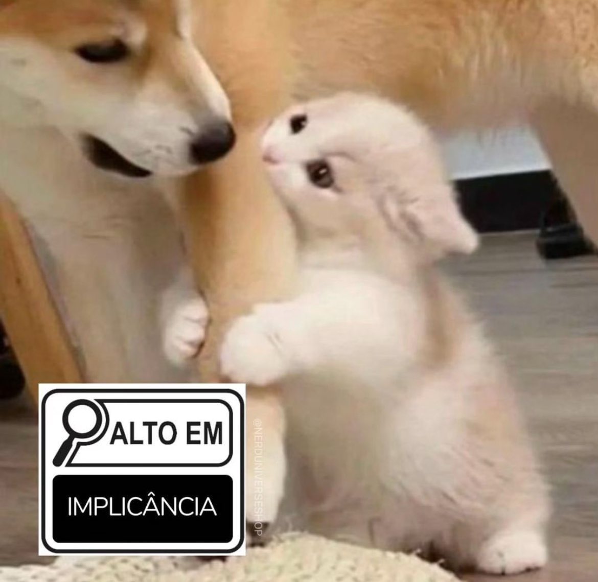 moreiraviw's tweet photo. https://t.co/Az4UtEHRsG