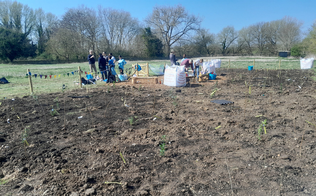 The first Tiny Forest has been planted in Staines by Thames Water using Miyawaki which involves planting a variety of species representing the different canopy layers of a mature forest at high density to produce biodiverse and carbon rich forest ecosystems in 15-20 years.