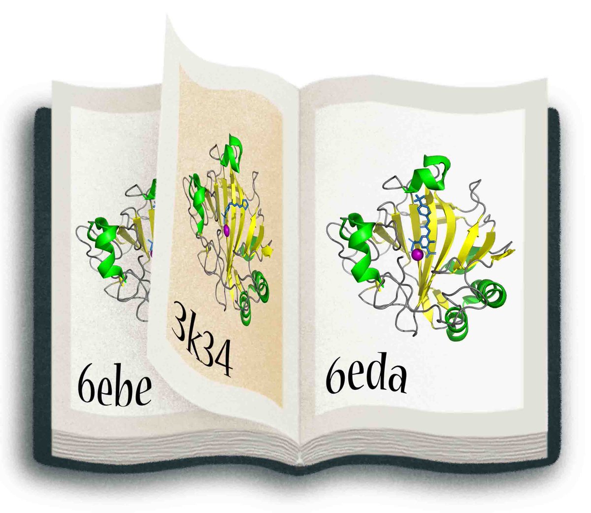 ActaCrystD's tweet image. A global analysis of protein crystal structures in the PDB using a newly developed computational approach reveals many pairs with (nearly) identical main-chain coordinates @uva @imperialcollege @livuni #DataDuplication #PDB #CoordinateComparison doi.org/10.1107/S20597…