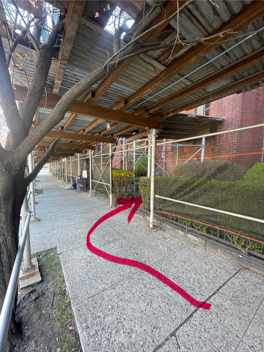 acciosuki's tweet image. Anyone have capacity to bring a woodcock (poss window strike victim) from BK to WBF this morning?

A friend was able to get it into a box late last night but wasn't able to bring it into her home, and it's still alive as of this morning. Coordinates are:
40°40'54.1"N 73°57'40.9"W