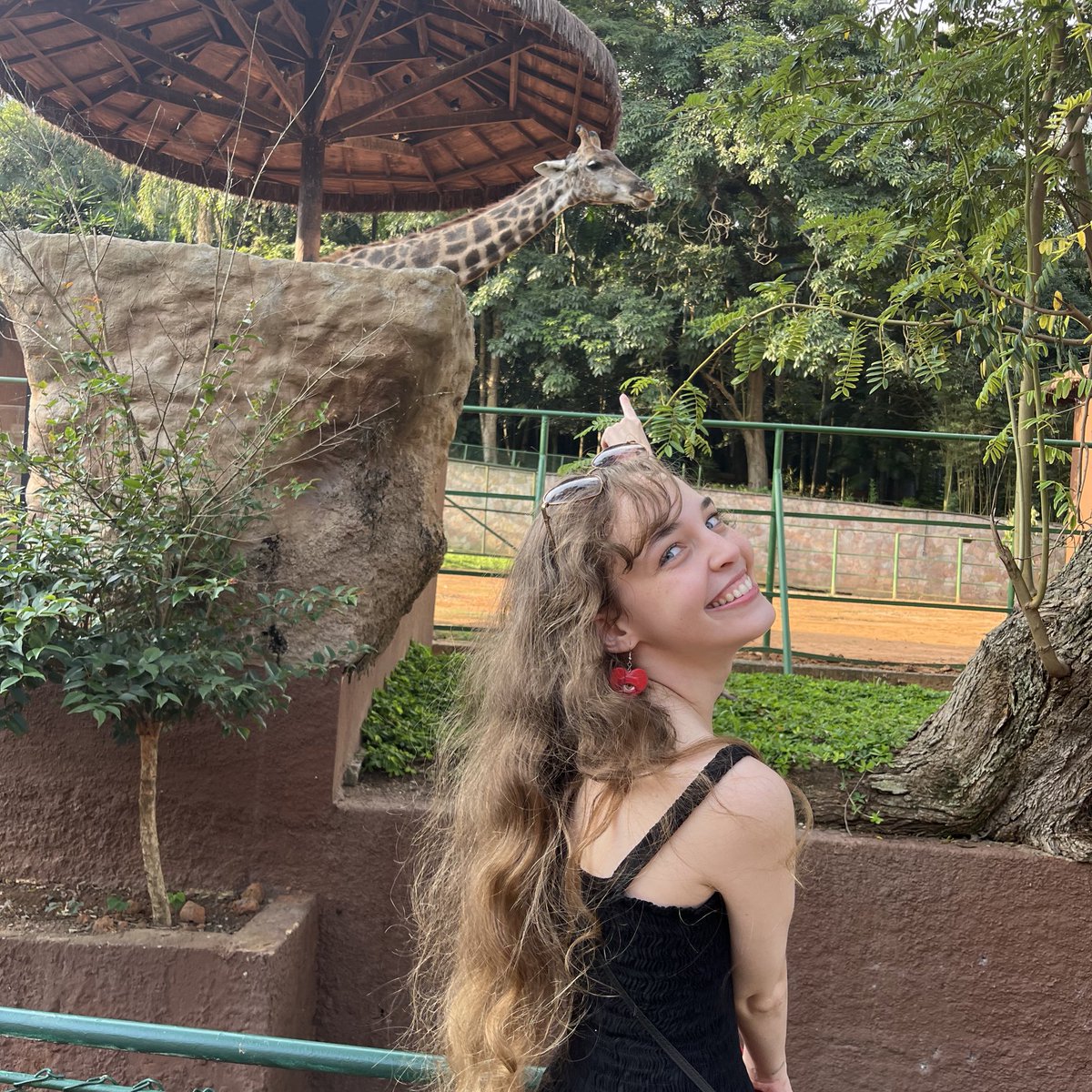 _anaeulalia's tweet photo. AMO LEAO!!!!
AMO AXOLOTE!!!!
AMO GIRAFA!!!!
odeio macaco https://t.co/tXJv73giK3