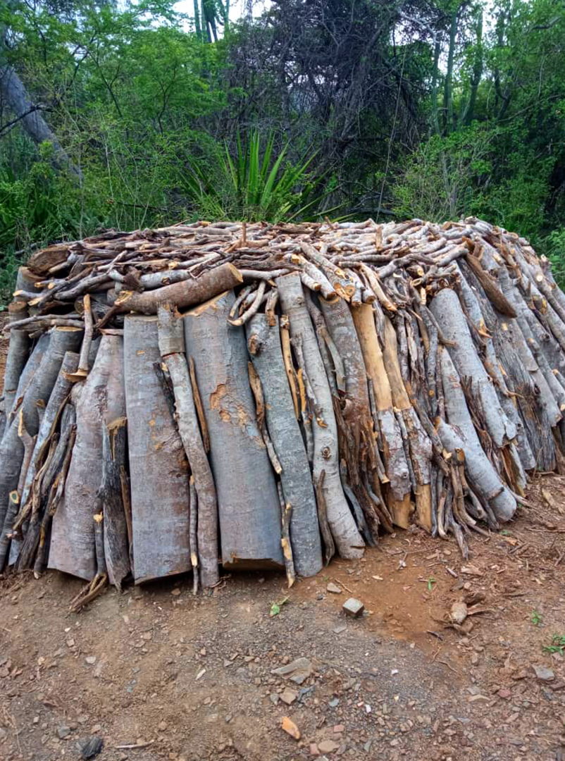ArmandoInfo's tweet photo. En el Parque Nacional Cerro Saroche, estado Lara, caen devastados los árboles de cují, vera y curarí. Una empresa mixta de la que es socia la Alcaldía de Barquisimeto, en manos del PSUV, es la responsable de la tala. ¿Por qué?
🔗https://t.co/dPfnqe3X0X https://t.co/weJRjmSGL5