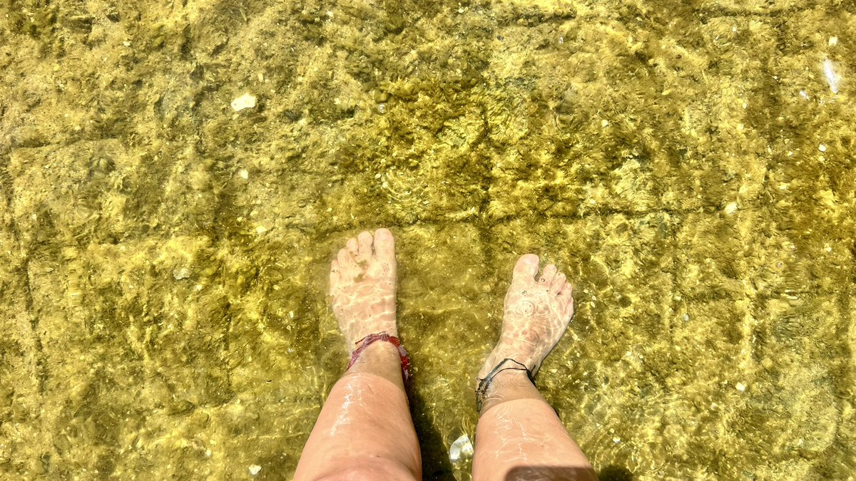 trotavan's tweet photo. ¡Y llegué a la Isla de Flores!
En esta Trotaventura descubrí que la isla se está inundando ¡Pero eso no es todo! Hay una leyenda urbana que asegura que debajo de esta isla podría haber una antigua pirámide maya… ¿Será cierto? https://t.co/uWJJhRiNy3