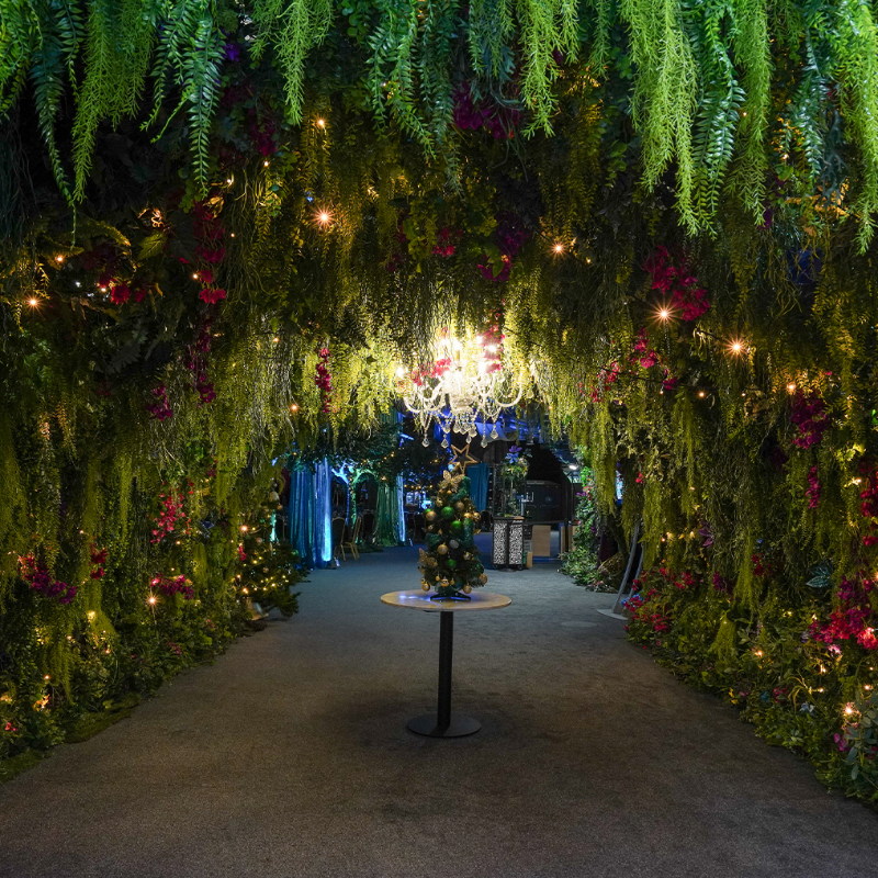 EdgbastonEvents's tweet photo. 𝗧𝗵𝗲 𝗯𝗶𝗴𝗴𝗲𝘀𝘁 𝗽𝗮𝗿𝘁𝗶𝗲𝘀 𝗶𝗻 𝗕𝗶𝗿𝗺𝗶𝗻𝗴𝗵𝗮𝗺!

❄️ Winter Gardens festive theme
🥂 Welcome drink
🍽️ Festive three-course meal
🎶 Live entertainment &amp; DJ

It's never too early to plan your celebrations! 

More Info ➡️ https://t.co/8LTwEUiAK5

#Edgbaston
