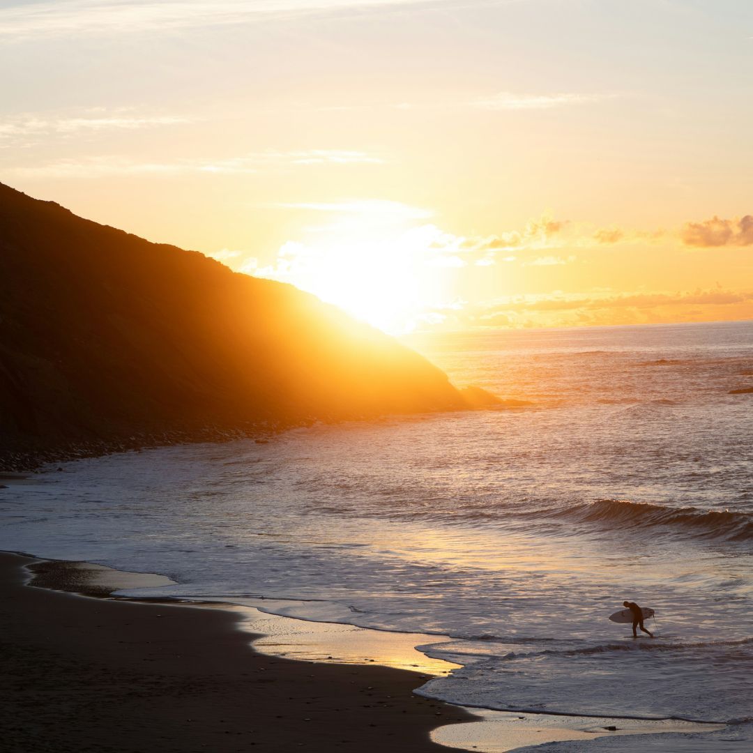 For the love of truth—
about yourself, the nature of reality, and the big questions.