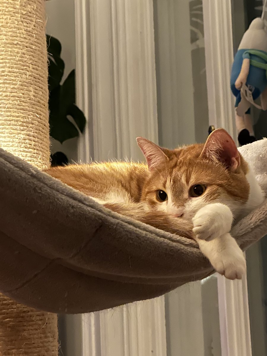 <a href="/spikerxy/">SP 🧩</a> <a href="/Dexerto/">Dexerto</a> His name is Bandit