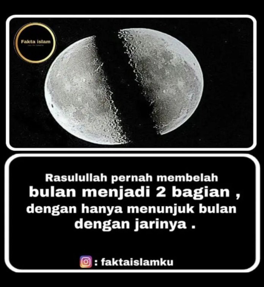 freethinker.id🇮🇩 tweet media
