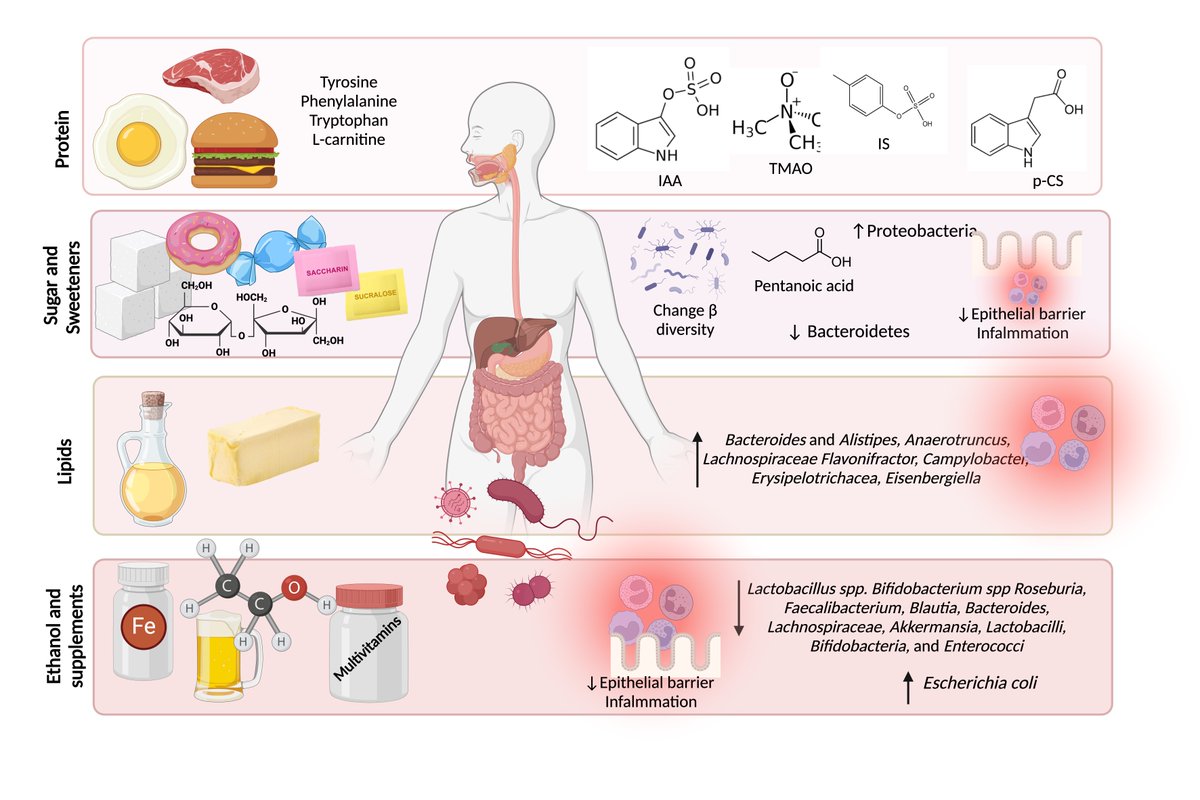 ASN Publications (@asnpublications) on Twitter photo Review in CJASN "Lifestyle Medicine and Kidney Health" series explores the role of lifestyle, particularly diet, in kidney health, highlights new gut microbiome therapies, and identifies research opportunities in CKD. bit.ly/CJASN0705
#ASNCJASN
<a href="/DeniseMafra3/">Denise Mafra</a> Review in CJASN "Lifestyle Medicine and Kidney Health" series explores the role of lifestyle, particularly diet, in kidney health, highlights new gut microbiome therapies, and identifies research opportunities in CKD. bit.ly/CJASN0705
#ASNCJASN
<a href="/DeniseMafra3/">Denise Mafra</a>