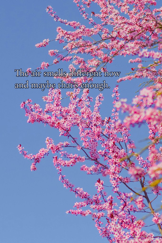 YumeaCosmetics's tweet image. A quiet reminder that spring doesn’t ask for attention—it simply arrives.
#SpringQuotes