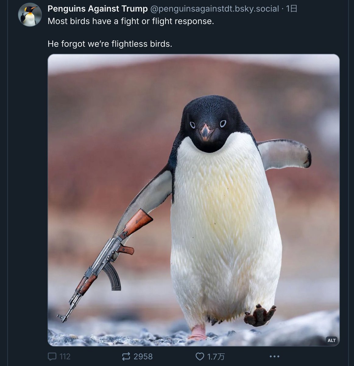 ブルスカで見かけたペンギンミーム 「大抵の鳥は