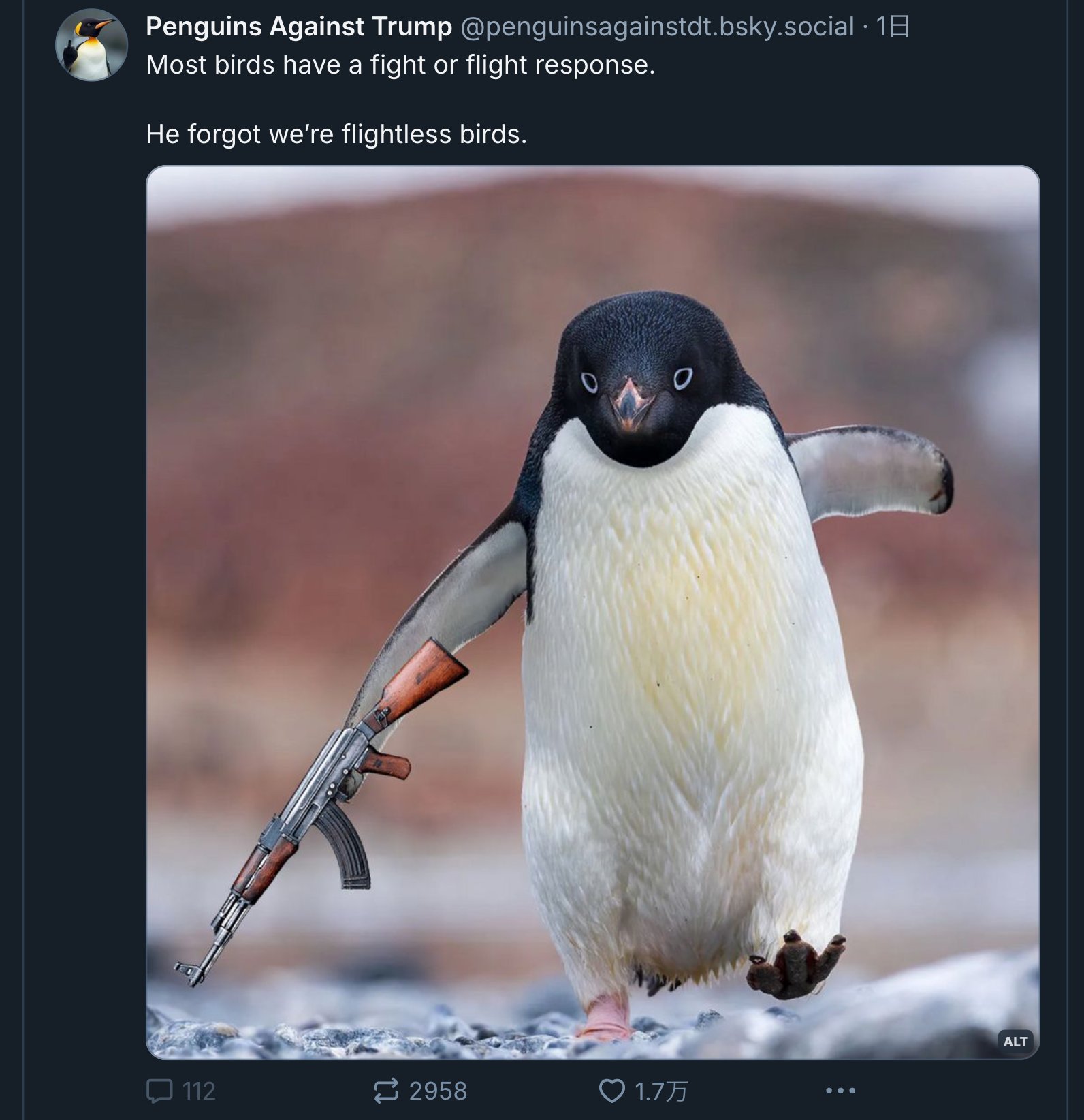 よくわかんないのとペンギン 登別マリンパークニクス イワトビペンギンの鳴き声 - YouTube