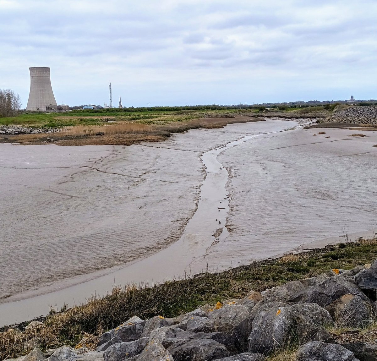 TheMeldrew's tweet photo. This afternoons dog walk #paull #saltend https://t.co/gWvo0aPVrV