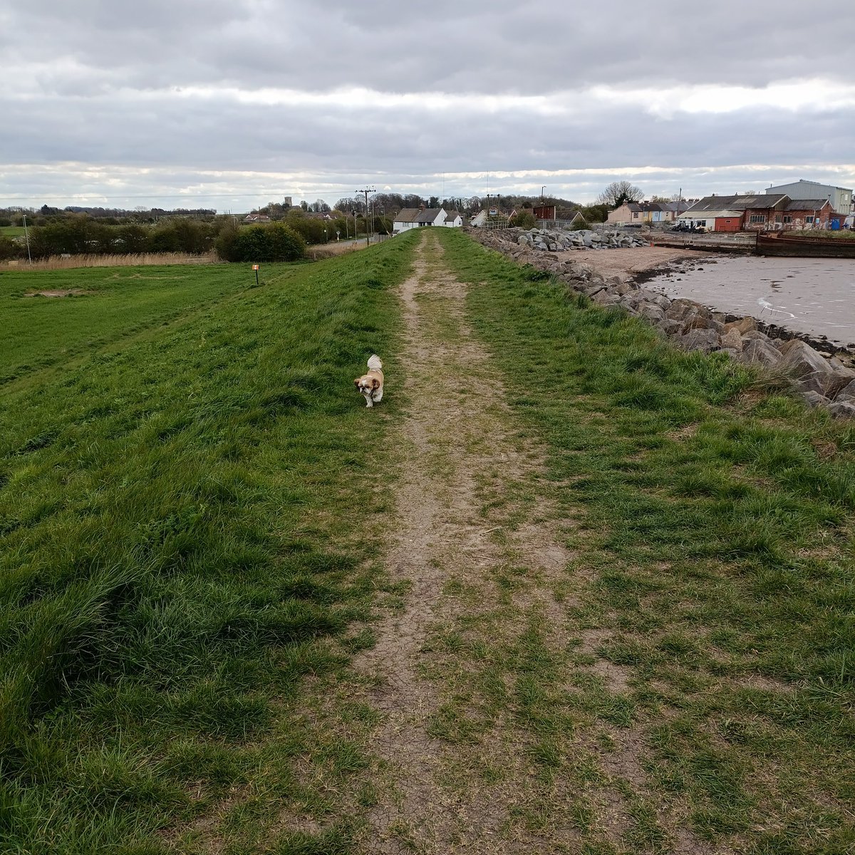 TheMeldrew's tweet photo. This afternoons dog walk #paull #saltend https://t.co/gWvo0aPVrV