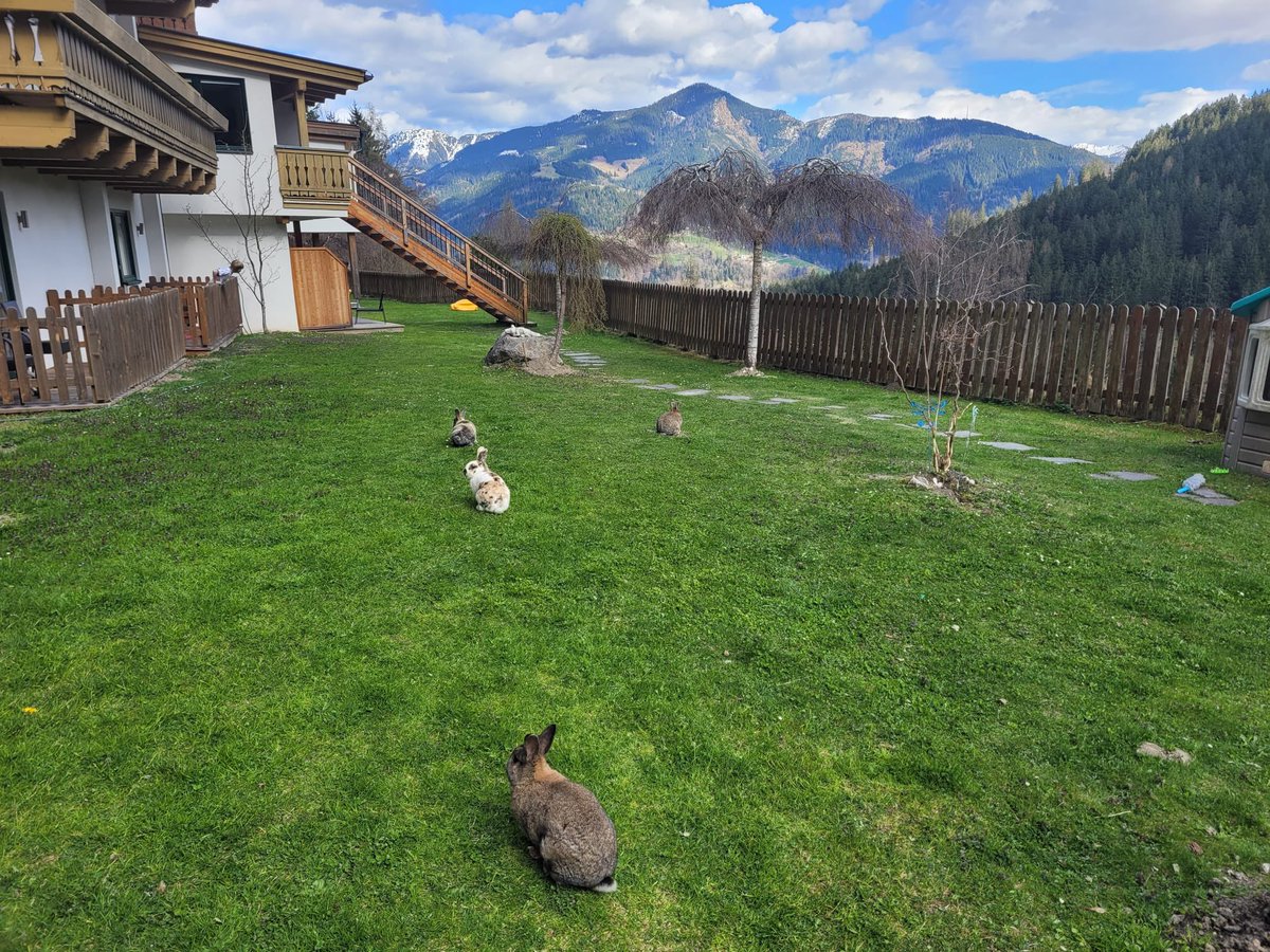 Mr Grieve tweet media