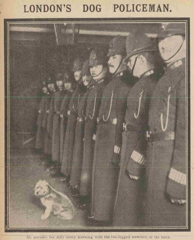 MPSHeritage's tweet photo. The first formal patrol dogs in the Met operated from Peckham in 1938, but they had many noble informal predecessors such as Jack at Leman Street on H (@MPSWhitechapel) Division in east London in February 1914. #Archive30 #ArchiveAnimals #DogsOfTwitter #BestBoy https://t.co/CJ8bnfcp8Q