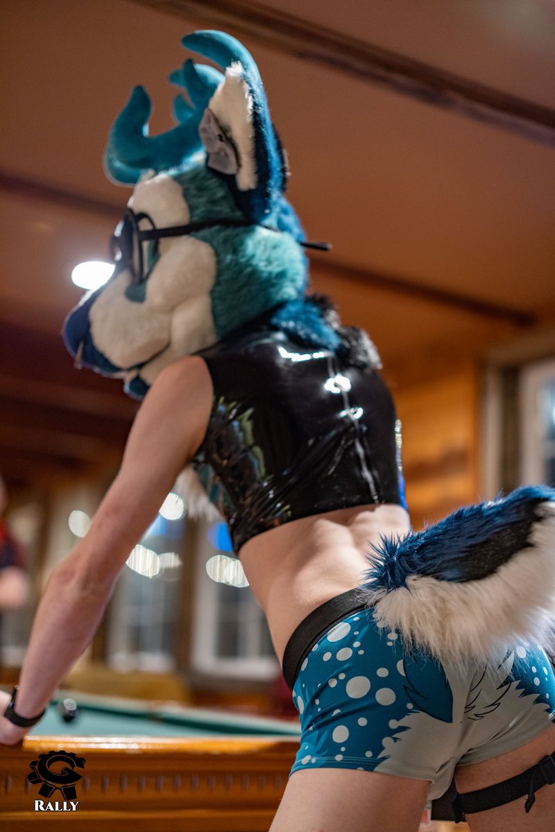 Care for a game of pool!? 😏 
.
.
📸<a href="/RallyPup/">PupRally</a>