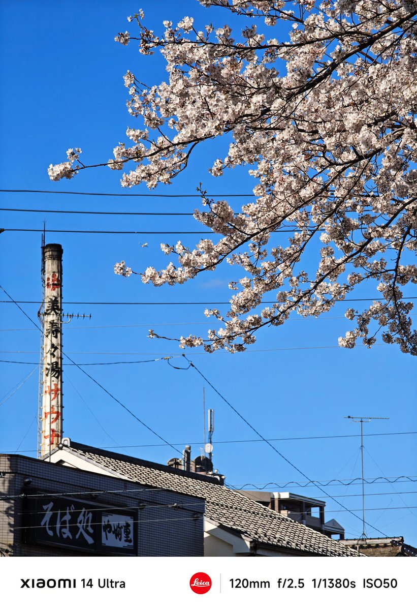 hiro_sj30's tweet photo. 大泉学園界隈の桜景色。
光学で12〜120mmが使えて、グリップとシャッターボタンとダイヤルまであると、スナップはもう #Xiaomi14Ultra だけでイイかなと思うけど、やっぱり中判とフルサイズのデジタル一眼も持ち出してしまう。 #xiaomi #練馬区 #スマホ撮影 #桜フォトグラフ #大泉学園 #桜 https://t.co/56jY8wztXU