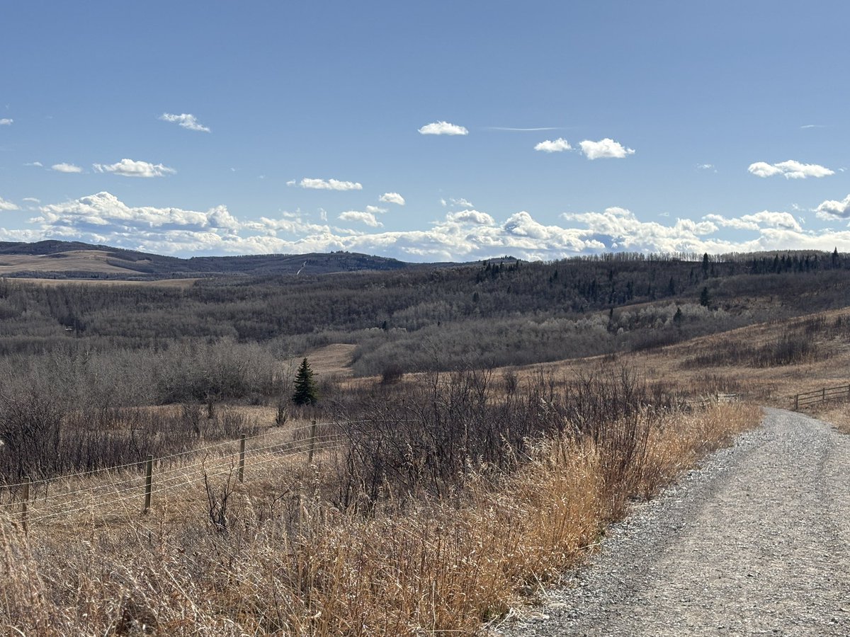 ASCConservation's tweet image. Spring returning to @ASCConservation 😊 #welcomespring #nature #foothills #alberta #conservation #outdoors