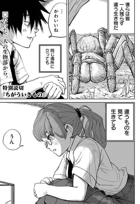 特別読切
【ちがういきもの】
高橋航(@koutakahasi)

/
たった二人の生物部。
ちがういきものが集まって
心を温め合う静かな場所。
\

最新YJ19号に掲載中。

感想、お待ちしてます! 