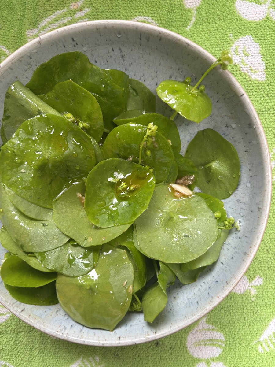 A foraged spring salad brings back memories of elementary school. bit.ly/4lpnsEN #recipe #Food #salad #spring #ExploreMore
