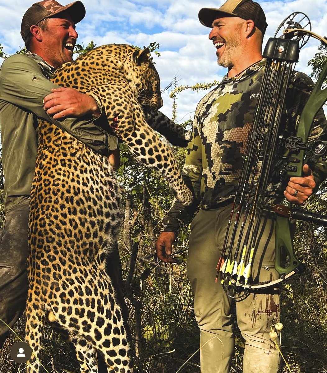 XposeTrophyHunt's tweet photo. Pure joy from PH Craig Middleton (L) & killer Todd Straud (R) after the arrow disappeared through this leopard's shoulder. Filth on 2 legs. 🤬
#BanTrophyHunting RT
@SARA2001NOOR @Angelux1111 @Gail7175 @Lin11W @DidiFrench @Protect_Wldlife @jannarden @PhaedraXTeddy https://t.co/Hxxt6UkkcG