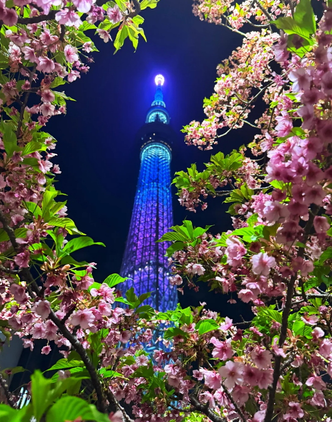 东京晴空塔-&amp;樱花季，限定美景上线！**🌸✨