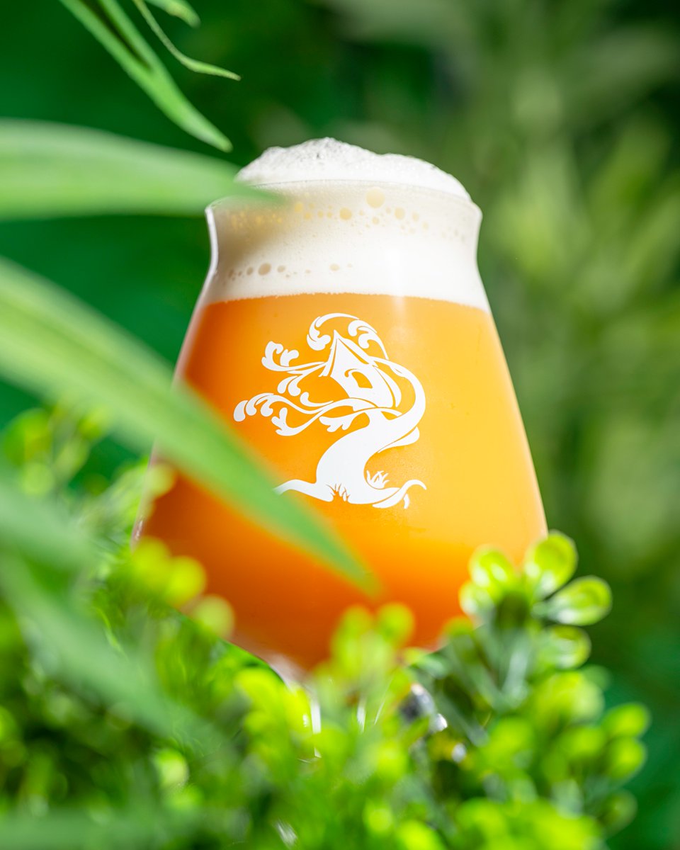 April showers bring May flowers! But today the sun is shining and we're ending the day's releases with this little gem.

Lily of the Valley!

This Double IPA pours a glowing orange color featuring a stunning combination of Citra and Lotus. Notes of grapefruit and orange peel