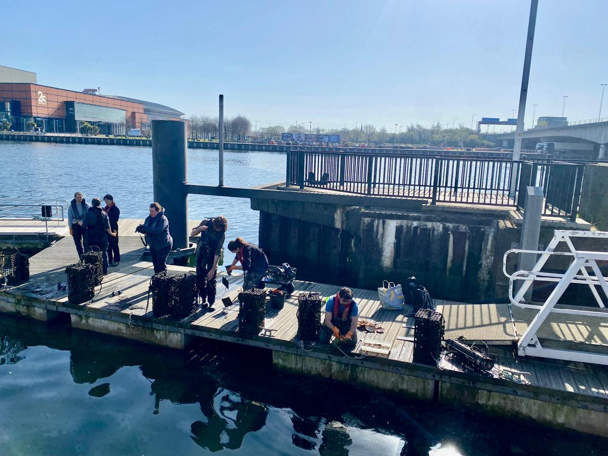 Today, we welcomed a group to Belfast’s waterfront to complete the Blueway Trail as part of #learningcities

We bumped into <a href="/UlsterWildlife/">Ulster Wildlife</a> who shared facts about the biodiversity of the Oyster Farm at Donegall Quay &amp; even gave a close up of some Native Oysters!
