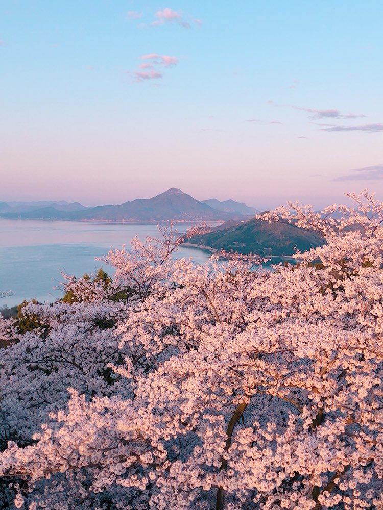 nanagonta's tweet photo. 360℃桜ってやつ

#桜 #夕日 #しまなみ海道 #桜フォトグラフ  #愛媛 #伯方島 #開山公園 https://t.co/5OA8fV95qZ