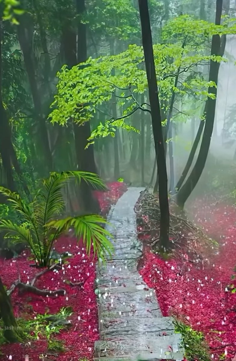InsatiableVVIP's tweet photo. ❣️Beautiful Walking Trail ❣️ https://t.co/GZs3quFovM