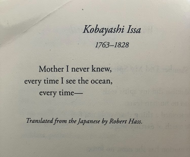 This little poem wrecks me.