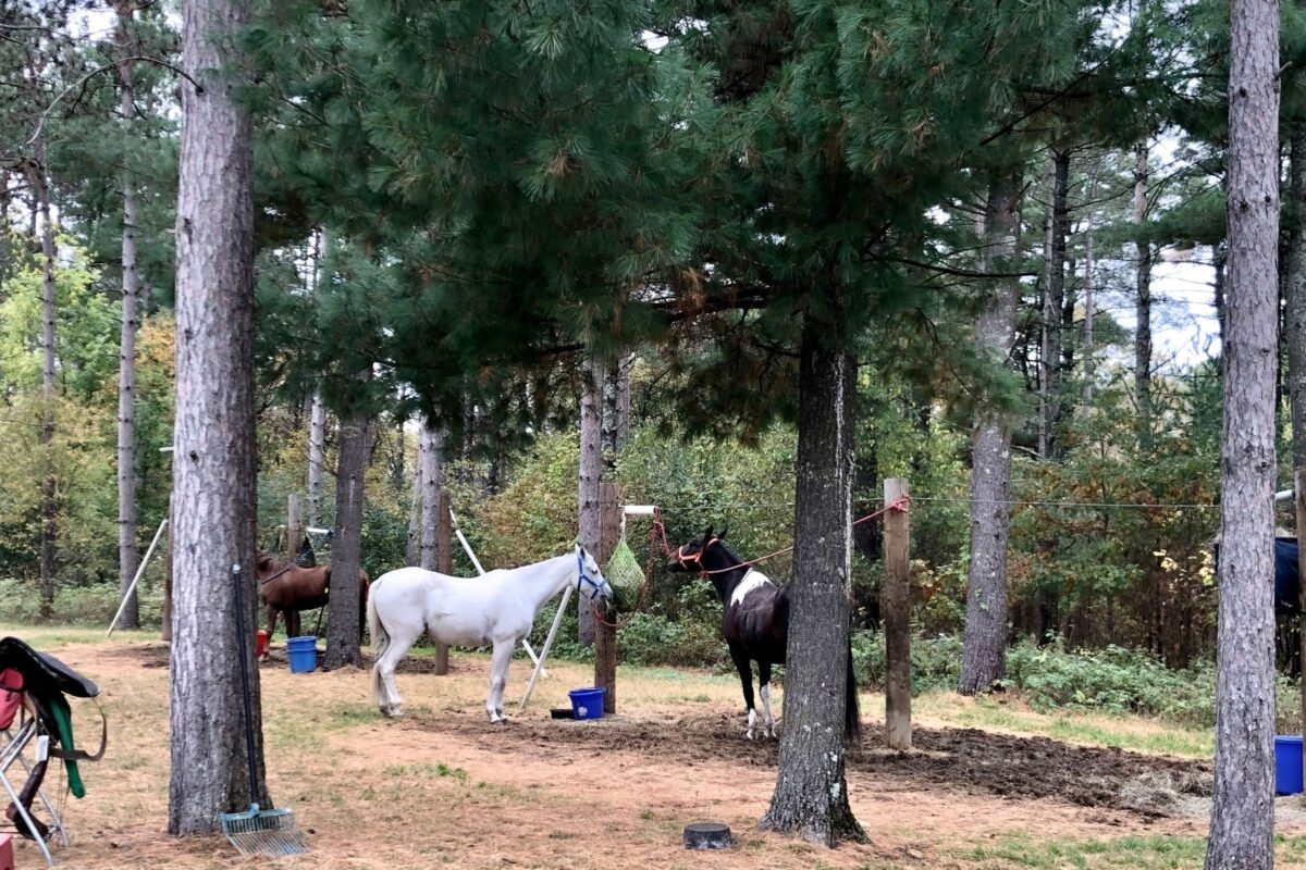 ExpGearOutdoor's tweet photo. Planning a horse camping trip? Ensure a successful adventure by bringing essentials like proper tack, feed, water, first-aid kits, and navigation tools. For a comprehensive checklist and more tips, visit: https://t.co/ZLJcMyCYOu #HorseCamping #EquestrianAdventure #ExploreGear https://t.co/zUsfMIf6LX