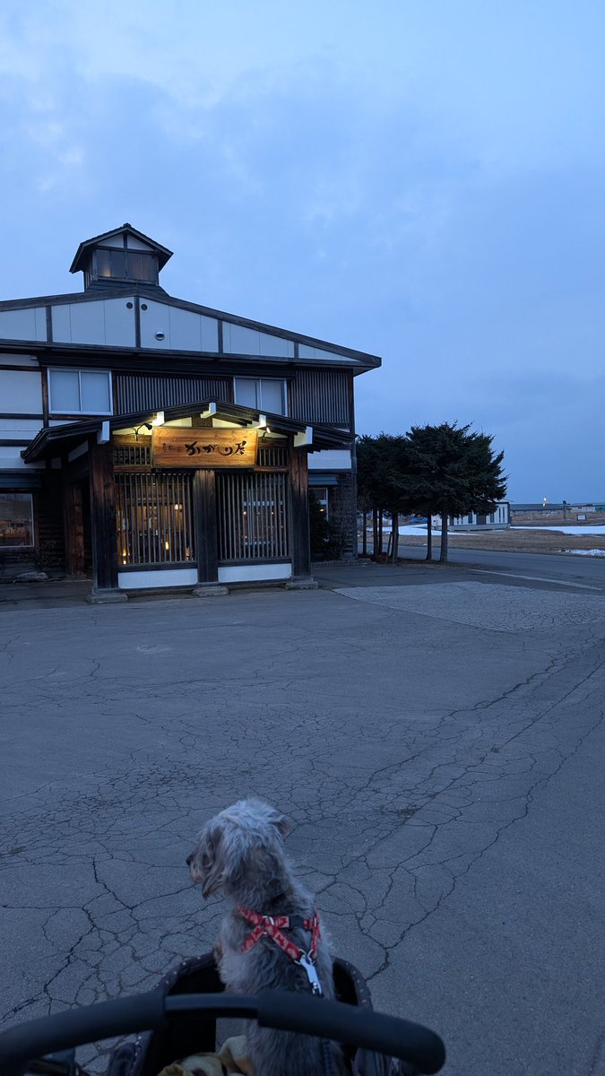 kagariya47's tweet photo. 目の前にあるサイクリングロードで愛犬とお散歩してきました😄
#北海道 #網走 #旅館 #愛犬 #ペット https://t.co/2LxfX1DpEY