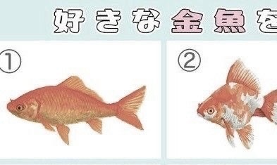 miya! ★ tweet media